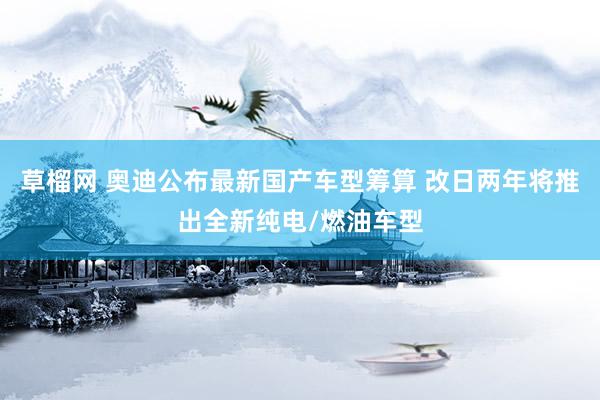 草榴网 奥迪公布最新国产车型筹算 改日两年将推出全新纯电/燃油车型