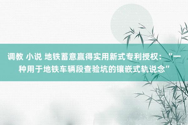 调教 小说 地铁蓄意赢得实用新式专利授权：“一种用于地铁车辆段查验坑的镶嵌式轨说念”