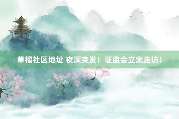 草榴社区地址 夜深突发！证监会立案走访！