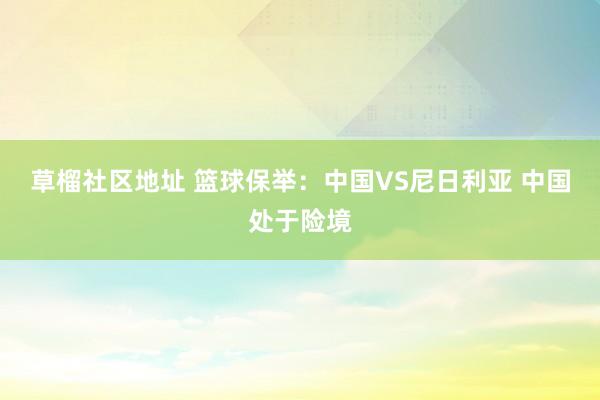 草榴社区地址 篮球保举:中国VS尼日利亚 中国处于险境