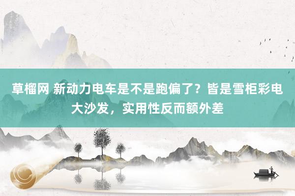 草榴网 新动力电车是不是跑偏了？皆是雪柜彩电大沙发，实用性反而额外差