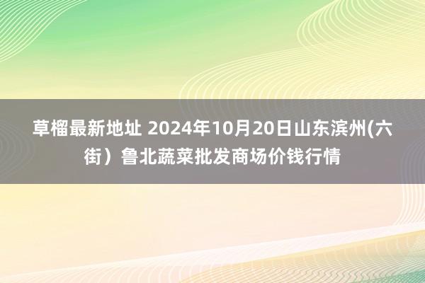 草榴最新地址 2024年10月20日山东滨州(六街)鲁北蔬菜批发商场价钱行情