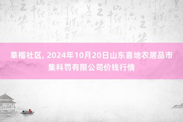 草榴社区, 2024年10月20日山东喜地农居品市集科罚有限公司价钱行情