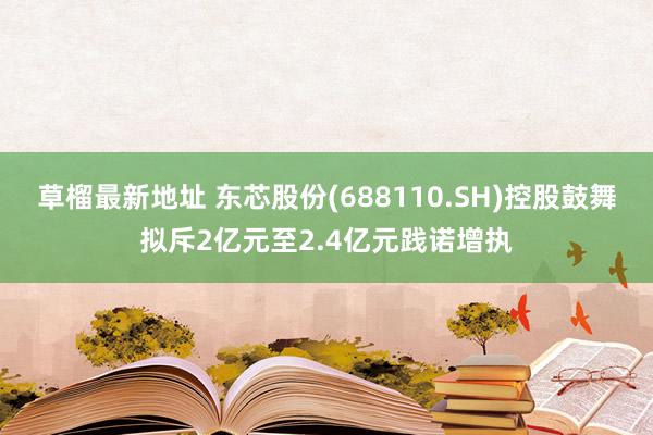草榴最新地址 东芯股份(688110.SH)控股鼓舞拟斥2亿元至2.4亿元践诺增执