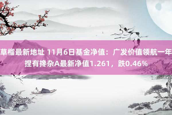 草榴最新地址 11月6日基金净值：广发价值领航一年捏有搀杂A最新净值1.261，跌0.46%