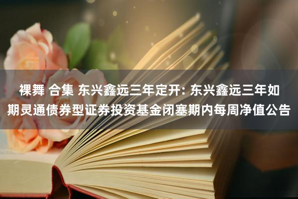 裸舞 合集 东兴鑫远三年定开: 东兴鑫远三年如期灵通债券型证券投资基金闭塞期内每周净值公告