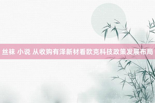 丝袜 小说 从收购有泽新材看欧克科技政策发展布局