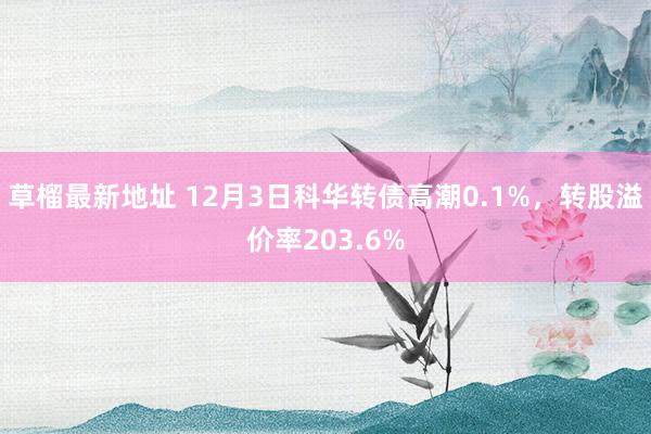 草榴最新地址 12月3日科华转债高潮0.1%，转股溢价率203.6%