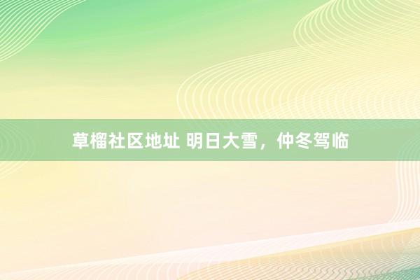 草榴社区地址 明日大雪，仲冬驾临