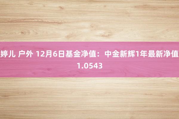 婷儿 户外 12月6日基金净值：中金新辉1年最新净值1.0543