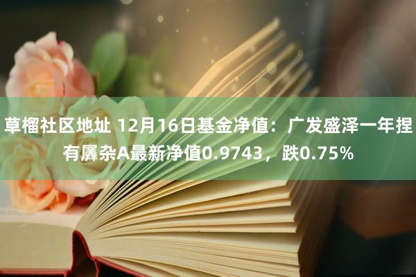 草榴社区地址 12月16日基金净值：广发盛泽一年捏有羼杂A最新净值0.9743，跌0.75%
