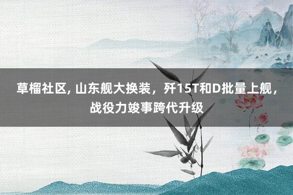 草榴社区， 山东舰大换装，歼15T和D批量上舰，战役力竣事跨代升级