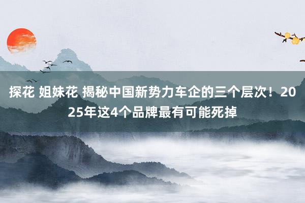 探花 姐妹花 揭秘中国新势力车企的三个层次！2025年这4个品牌最有可能死掉