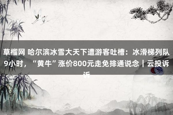 草榴网 哈尔滨冰雪大天下遭游客吐槽：冰滑梯列队9小时，“黄牛”涨价800元走免排通说念｜云投诉