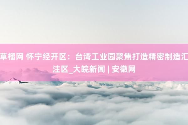 草榴网 怀宁经开区：台湾工业园聚焦打造精密制造汇注区_大皖新闻 | 安徽网