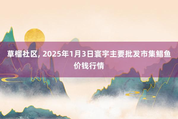 草榴社区， 2025年1月3日寰宇主要批发市集鲳鱼价钱行情