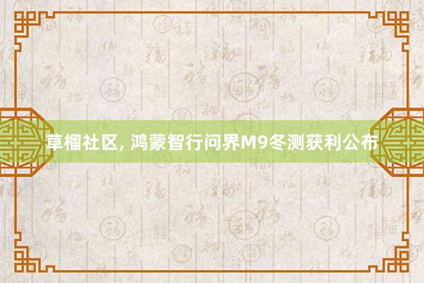 草榴社区， 鸿蒙智行问界M9冬测获利公布