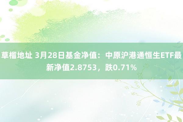 草榴地址 3月28日基金净值：中原沪港通恒生ETF最新净值2.8753，跌0.71%